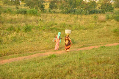 DSC_4346 (Large).JPG